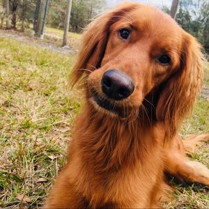 Meet your Posher, Nevaeh